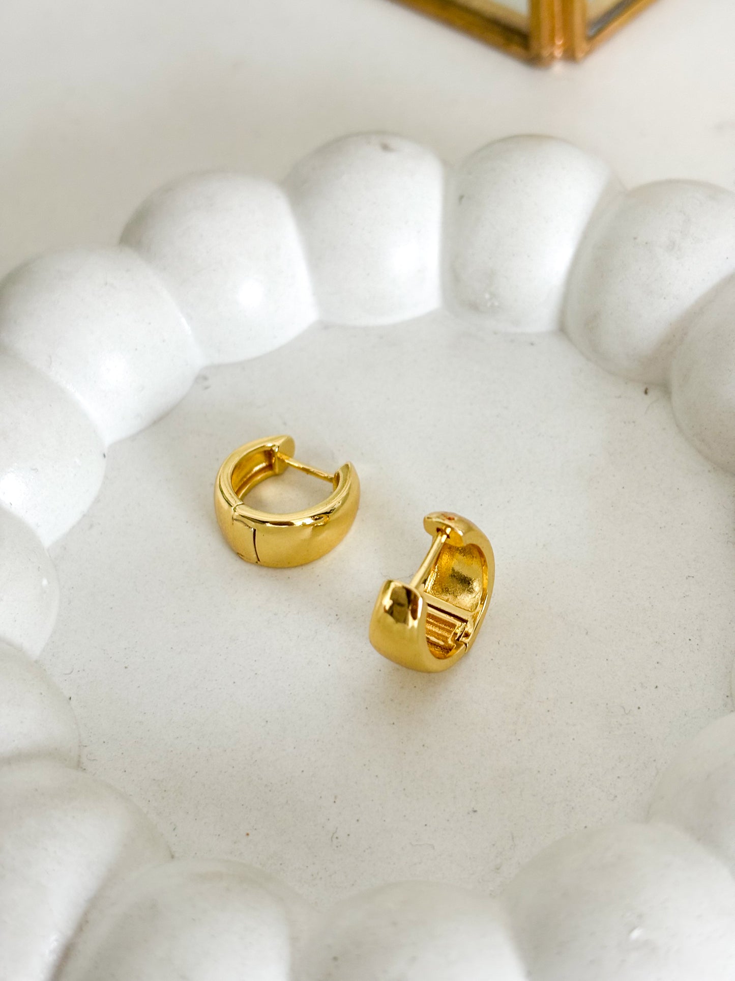 Aretes lucia