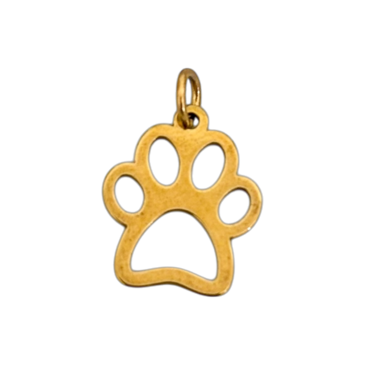Huella perrito