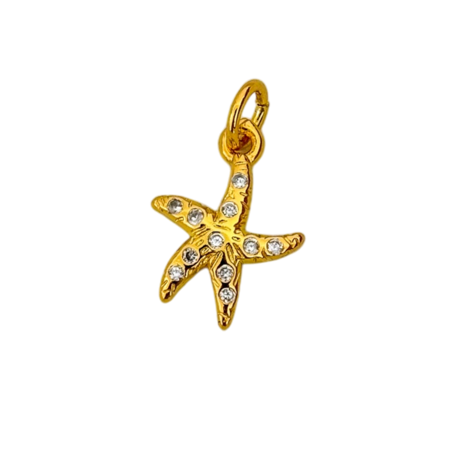 Estrella de mar circon