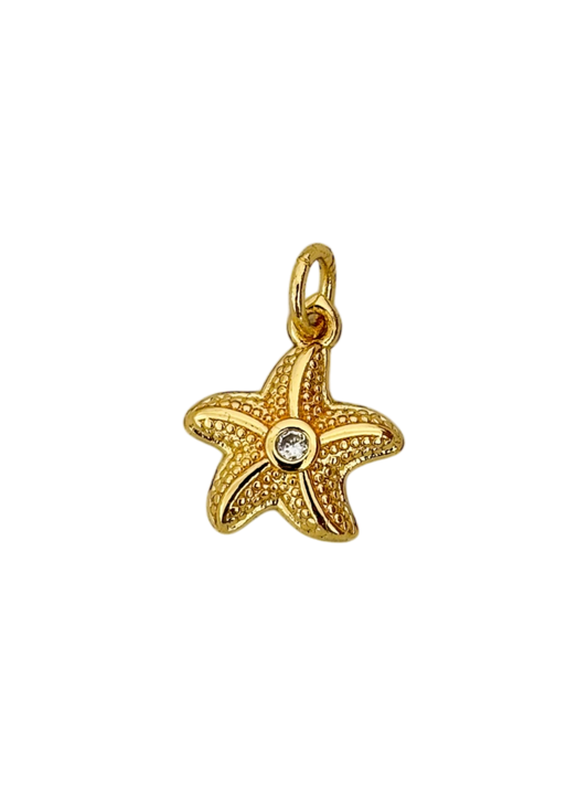 Estrella de mar punto de luz