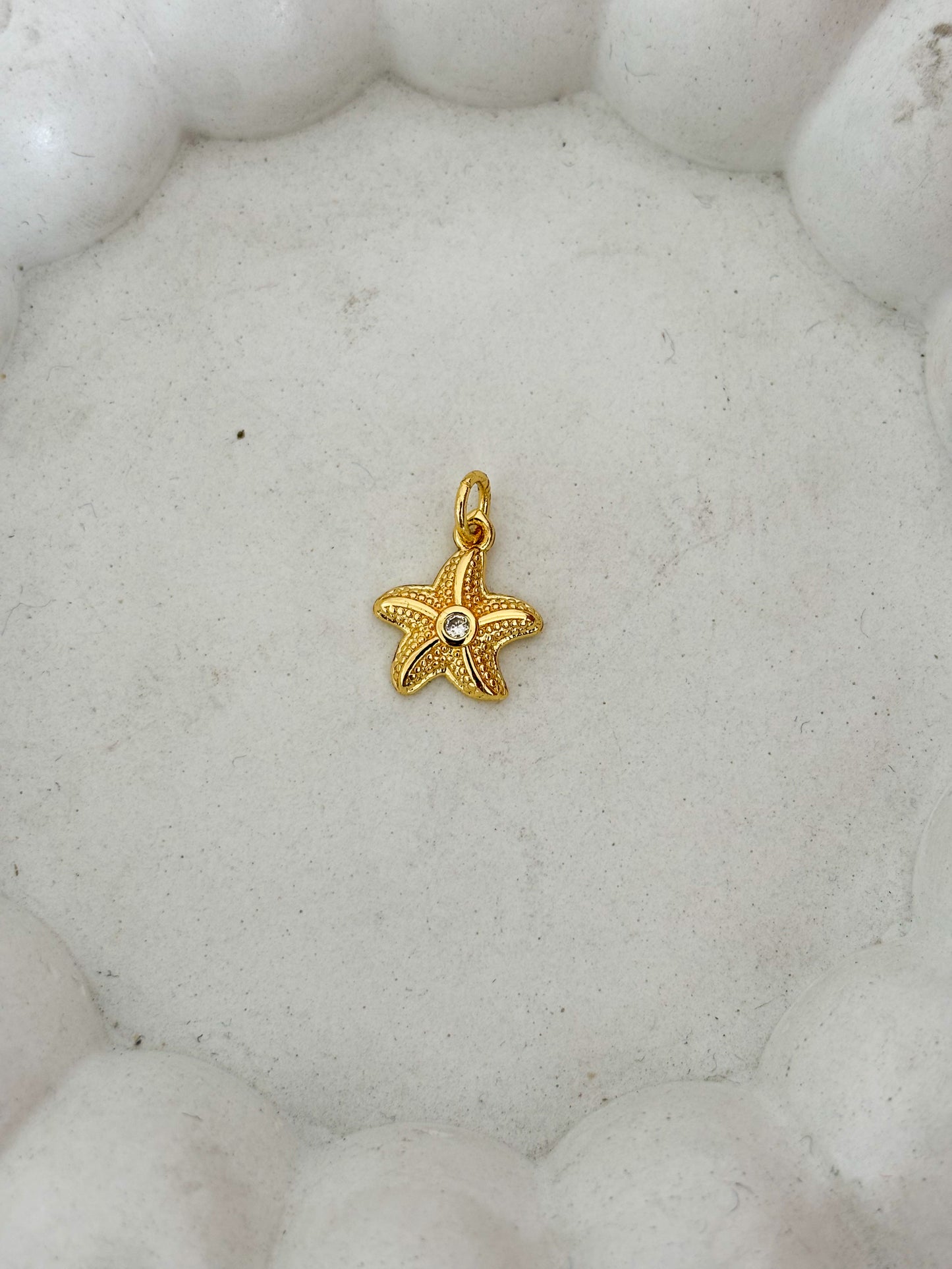Estrella de mar punto de luz