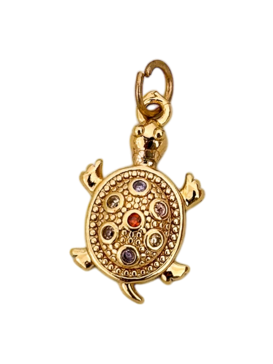 Tortuga