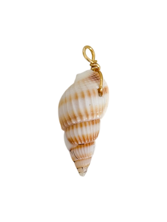 Caracol natural
