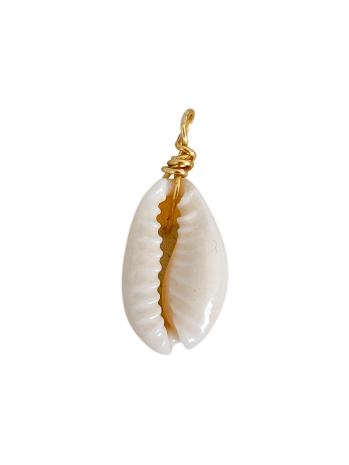 Concha de mar