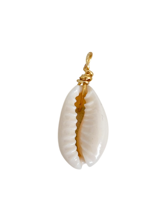 Concha de mar