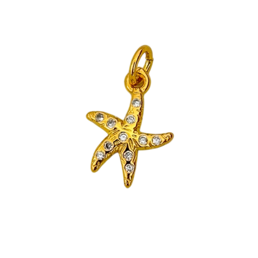 Estrella de mar circon